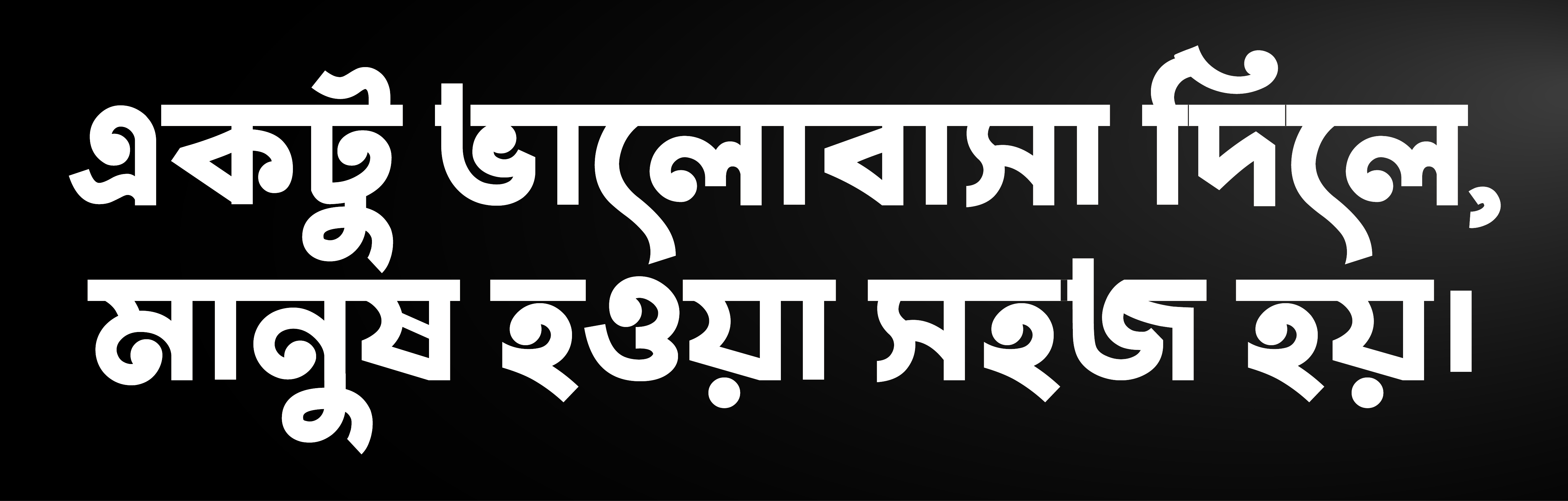 Top 5 Bangla Font 2025